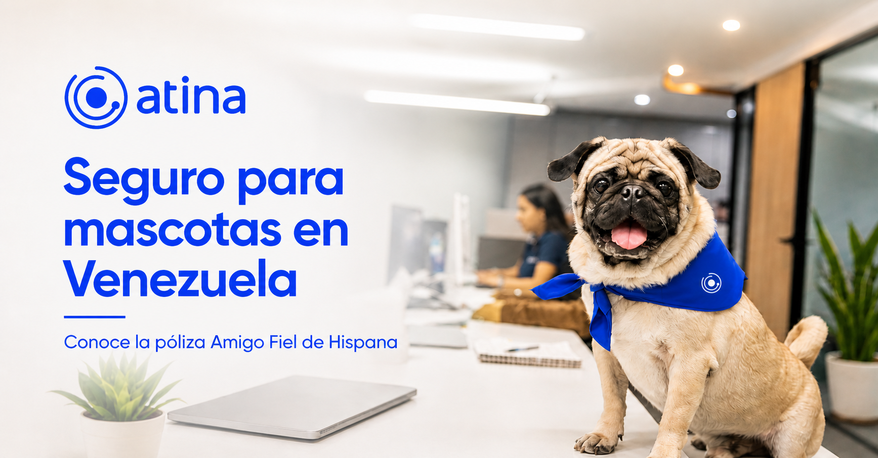 Seguro para mascotas en Venezuela: ¿por qué una póliza para tu perro o gato puede ser una buena alternativa